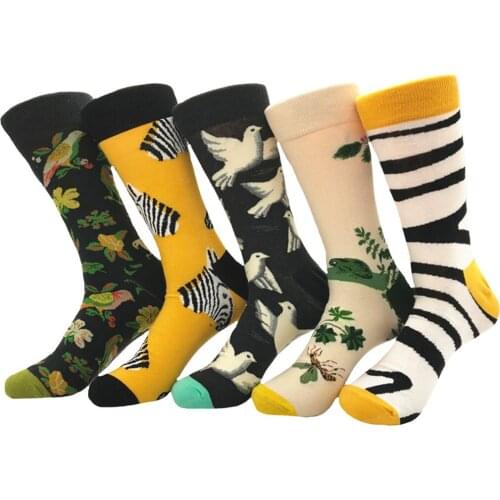 Segolike Men's Colored Socks