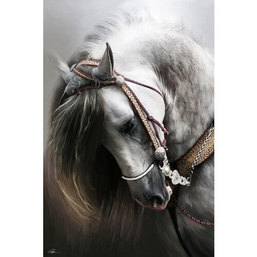 Oneroom Embroidery Counted Cross Stitch Kits Needlework - Crafts 14 ct DMC color DIY Arts Handmade Decor - Andalusian Horse