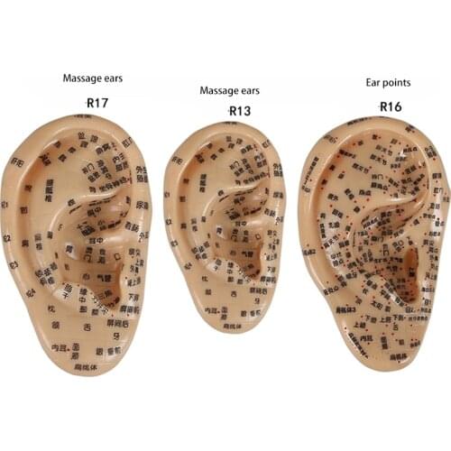 1pcs 13/16/17cm Human Ear Massage Model Ear Reflection Area Model Massage PVC Ear Model for Teaching Display Supplies