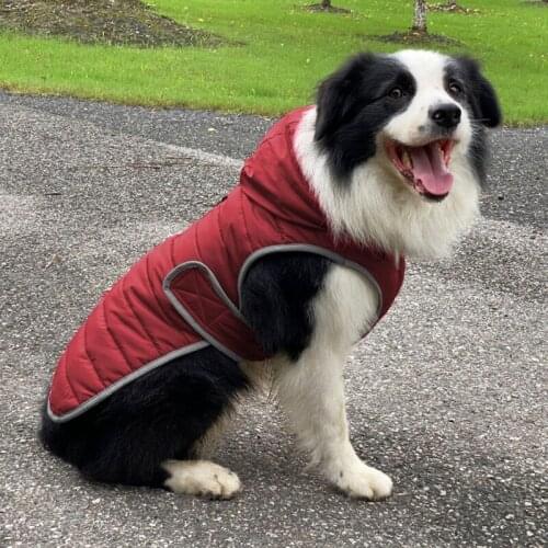Pet Dog Clothes Winter Hooded Style Coat Warm Comfortable Soft Durable Fashion Pet Dog Winter Hoodie Suitable for Daily Wear