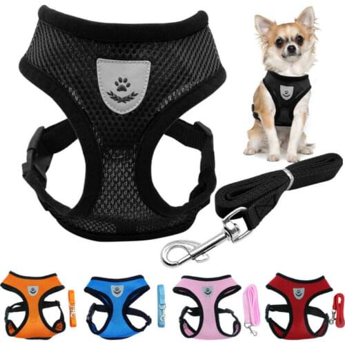 Adjustable Harness Chest Strap Puppy Vest Small Dog Pet Vest Breathable Mesh and Leash Set NEW