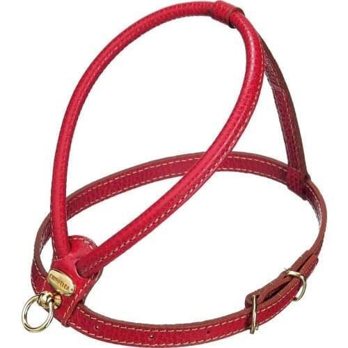 Camon Pet Supplies