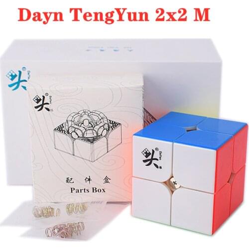 Dayn Tengyun M Magnetic 2x2x2 Magic cube 2x2 Speed Cube magnet Puzzle Cubo Magico