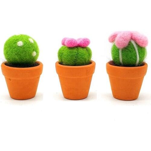 Succulent Plants Needle Felting Kit for Beginner, Felting Starter Kit, Contains Enough Felting Wool and Tools, English Manual