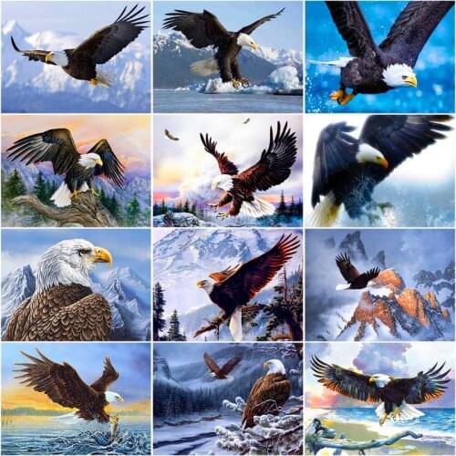 RUOPOTY Frame Picture Diy Oil Painting By Numbers Kits Eagle Animals Acrylic Wall Art Home Decors Coloring By Numbers For Diy Gi