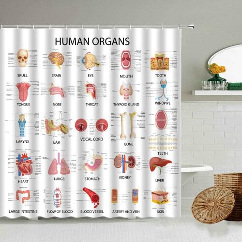 Medicine Human Anatomy Structure Research Shower Curtain Organ Brain Medical Bathroom Decoration Waterproof Screen With Hook