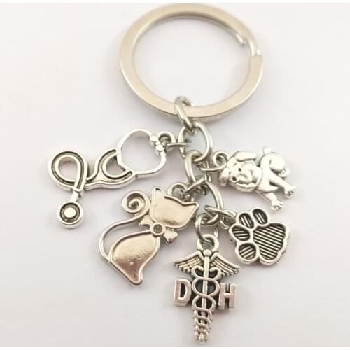 1pair veterinary key ring charm stethoscope animal protective gear animal dog cat nurse key chain veterinary jewelry gift
