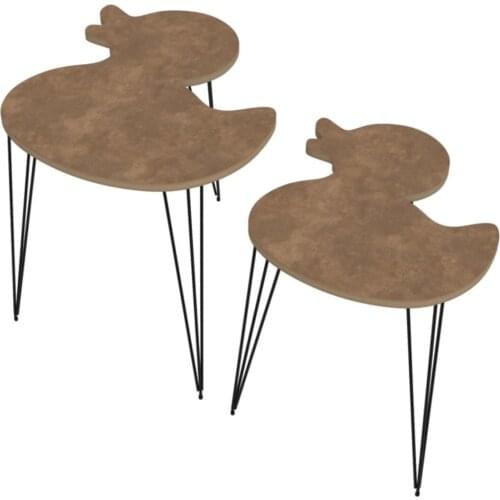 Modern Brown Duck Larose Zigon Coffee table 2 Li coffe table