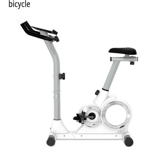 Bicycle Adult Silent Home Exercise Bike Spinning Bike Indoor Weight Loss Adjustable Smart Fitness Equipment Magnetic Control 1PC