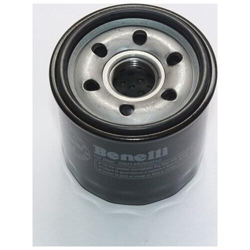 STARPAD For Qianjiang Blue Dragon Baolong 600 300 BJ600GS oil filter