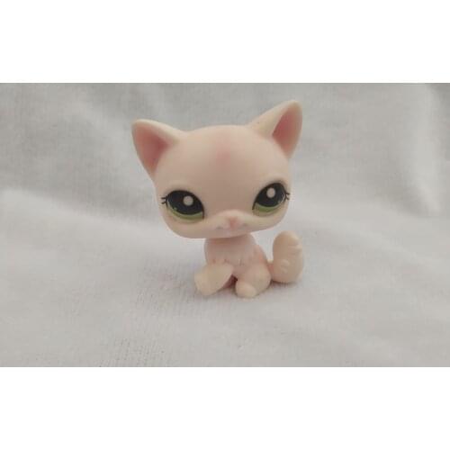 Pet Shop Rare Figure Yellow Black Red Shorthair Cat Collection Classic Animal Pet Cat Cosplay Action Child Gift