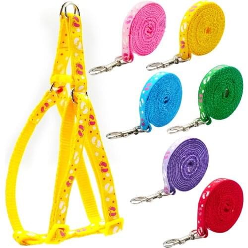 24Sets Small Dog Cat Harness Cartoons Leash Adjustable VAll Seasons Est Collar Puppy Outdoor Walking Pets Product Anti-lost