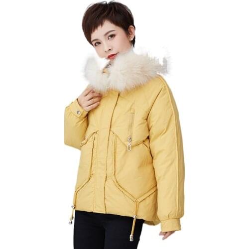 Plus Size 2022 New Winter Jacket Women Fashion Big Fur Collar Warm Hooded Outerwear Female Jacket Short Coat Casaco Feminino