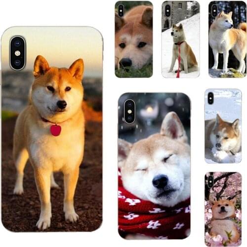 Animal Cute Dog Akita Painted Phone Cases For LG G7 ThinQ G5 G6 K50 Q60 K40 K8 Q7 2018 2017 V40 V30 V20 V10