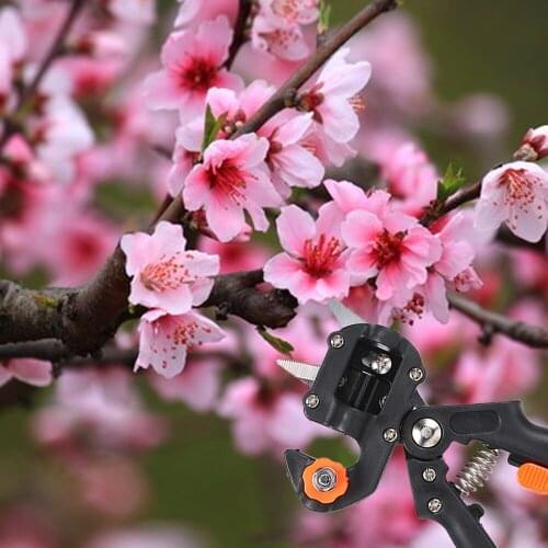 Garden Farming Pruning Shears Scissor Fruit Tree Grafting Gardening Tools Red