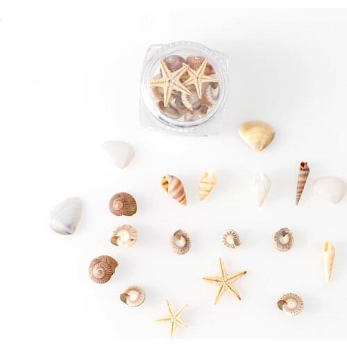 1/2/5 Box Natural DIY Nail Art Decoration Mini Shells Starfish Conch Shells Starfish Ornaments Manicure Tools