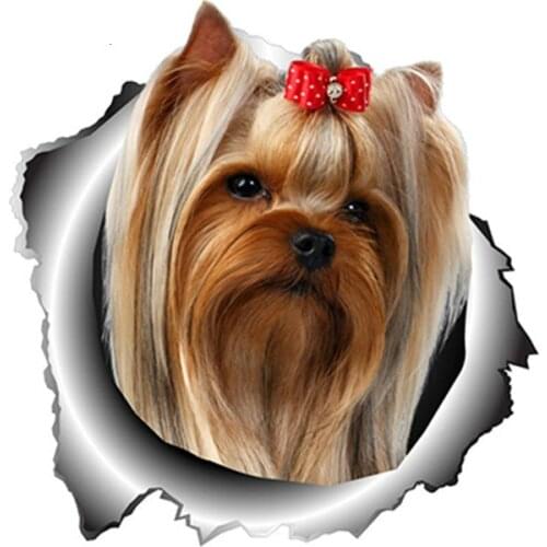 Car cartoon stickers. Yorkshire Terrier. Torn stickers. Car window stickers. Dog bumper. Car plastic raincoat. PVC