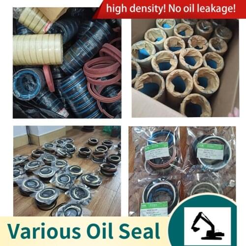 Excavator Seal Kits For CASE/JCB/ KOMATSU/ HYUNDAI/CATERPILLAR/VOLVO/KOBELCO/ HITACHI/ SUMITOMO High Quality