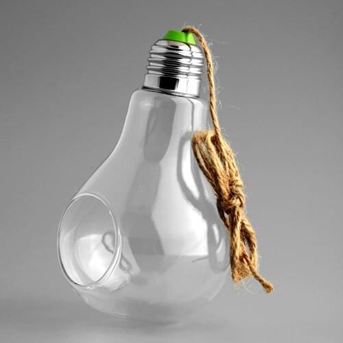 Light Bulb Shape Glass Hanging Hydroponic Plant Container Wedding Wall Deco Home Decoration Flowers Hanging Container
