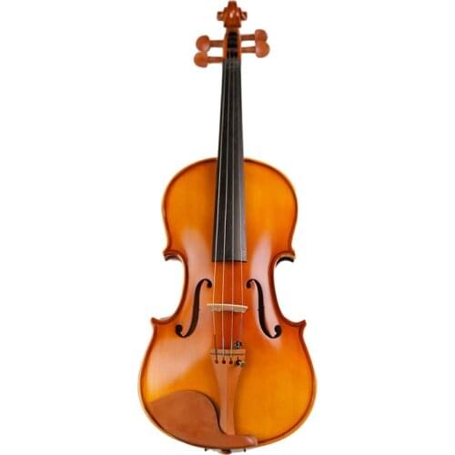Handmade Beginner Violin 4/4 3/4 1/2 1/4 1/8 Acoustic Solid Wood Violin High-end Antique Violin musical instrument with Case