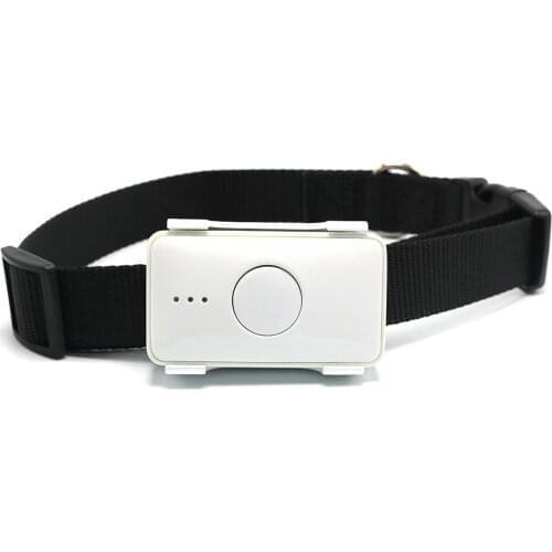 Pet Tracking GPS Activity Health Dog Training Collar Pet Smart Locator RYDLK105B