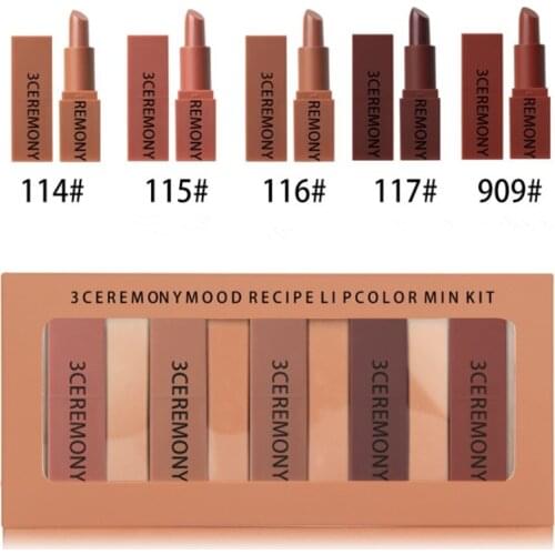 5pcs Set Matte Lipstick 5pcs/Set Waterproof Long Lasting Red Lips Velvet Lip Gloss Tint Pigment Lip Cosmetic Makeup