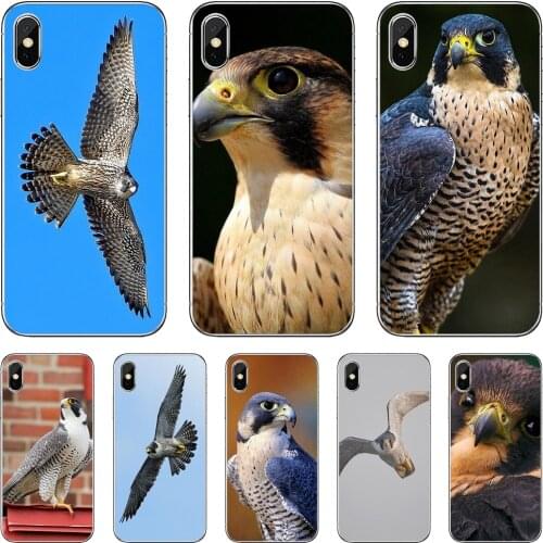 For Meizu M6 M5 M6S M5S M2 M3 M3S NOTE MX6 M6t 6 5 Pro Plus U20 Peregrine-Falcon-fastest-animal-Birds Soft Cases Covers