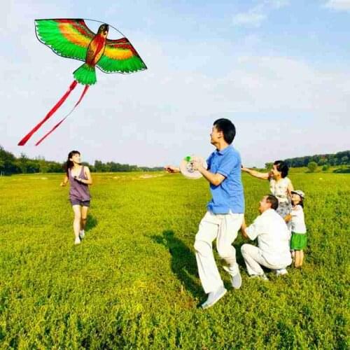 Parrot kite taking off like a lifelike by normal wind Designed with stylish patterns beautiful classichigh quality