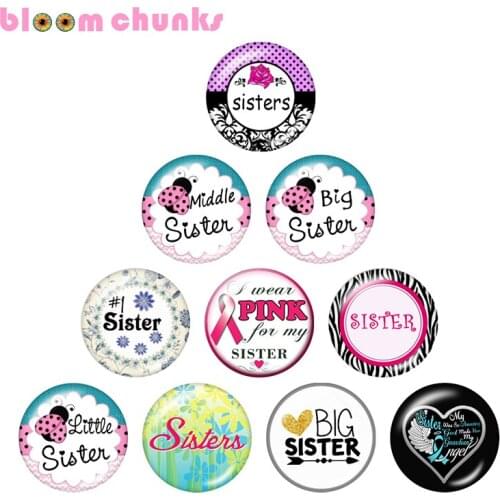 Sister 10pcs mixed 12mm/18mm/20mm/25mm Round photo glass cabochon demo flat back Making findings S3909