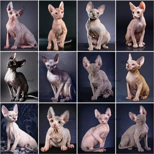 Diamond Painting Cat Animals 5D DIY Full Square/Round Diamond Embroidery Hairless Cat Mosaic Cross Stitch Home Decoration