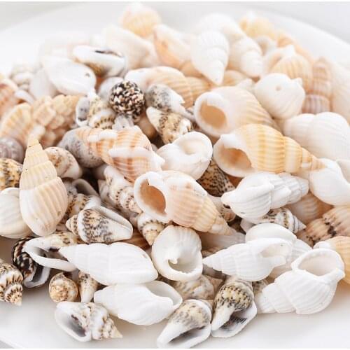 Wholesale Charms Small Conch Beads 20/40/60/80g Natural Sea Snail Beads With Holes For DIY Jewelry Making Bracelet Necklace