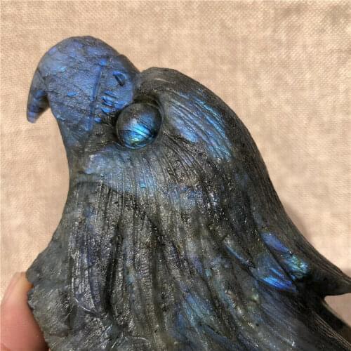 500g Natural stretched feldspar quartz hand carved crystal eagle head healing