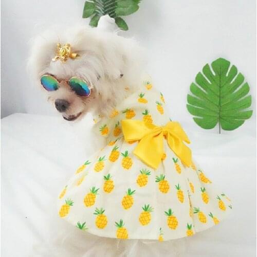 Small Dog Dress Summer Cat Skirt Cute Fruit Print Puppy Dresses Chihuahua Yorkshire Clothes Pomeranian Shih Tzu Maltese Clothing