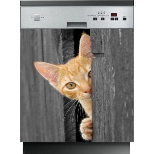 HAN&CHENG Cat Wall Stickers