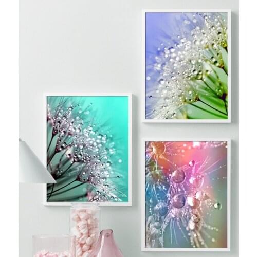 Colorful Plants Dandelion Water Droplets Wall Art Canvas Painting Nordic Posters And Prints Plant Wall Pictures For Living Room