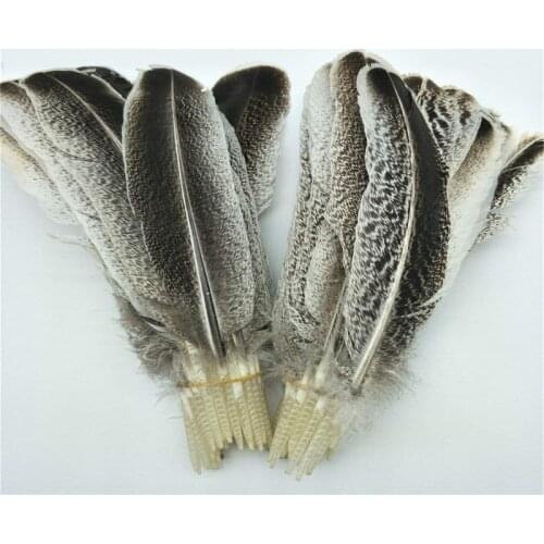 Wholesale Natural Eagle Feathers for Crafts Jewelry Making Discount Wholesale Decoration Carnival Wedding Feathers Plumes Plumas