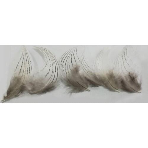 50Pcs/Lot! 5-8cm Long,Plume,Veren,Feder,SILVER PHEASANT BODY PLUMAGE FEATHERS Natural White Black Fly/Fishing/Craft