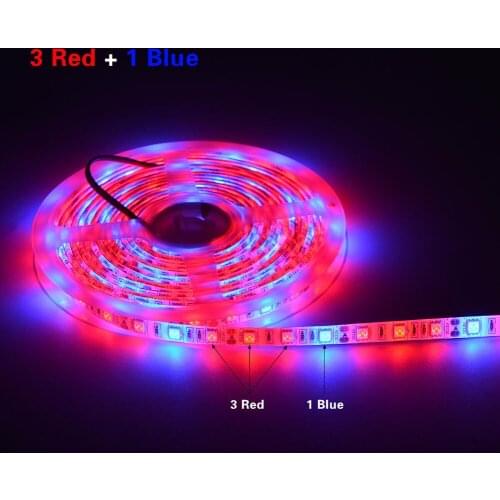 SMD5050 LED Strip For Plants Grow Led Grow Light Phyto Lamp For Plants Phytolamp For Seedlings Phyto Lamp For Plant Growing Lamp