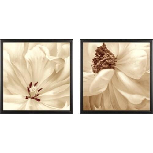 Wholesale 2 Piecest/Set Decorative flower series Canvas Painting Sitting Room Decoration Print Canvas Pictures (No Framed)