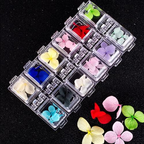 12 Colors Dry Flower Set for Lip Gloss Diy Decor Lipgloss Base Gel Mix Decoration Petal Odorless Moisturizing Makeup Nail Art