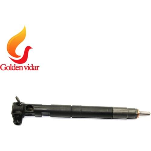 Diesel fuel injector 28229873 for original Delphi injector 28229873 338004A710, comon rail injector