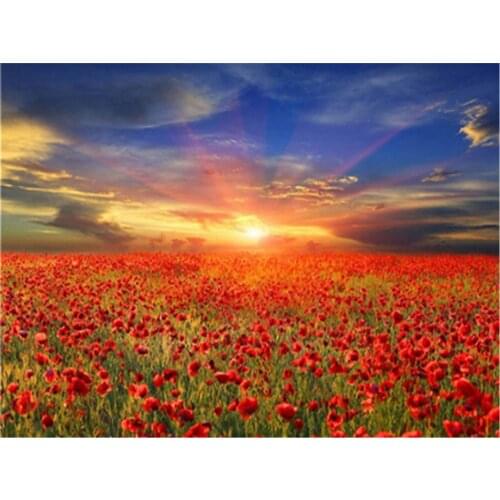 Poppy Flower DIY Embroidery Cross Stitch 11CT Kits Needlework Craft Set Cotton Thread Printed Canvas Home Decoration New Sale