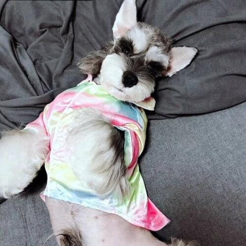 Rainbow Dog Pajamas for Small Medium Dogs Yorkie Clothes Fashion Dog Shirts Chihuahua Clothing Ropa Perro Pug Costume A128