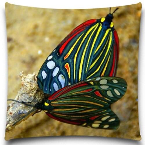 Beautiful Butterfly pattern cotton polyester square decorative pillow case home sofa decorative 5 size 9 style