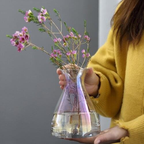 Glass Vase Living Room Modern Ins Style Glass Transparent Dill Home Decoration Accessories Flower Tabletop Vases For Home Deco