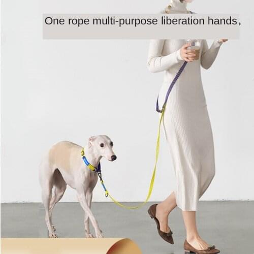 Double Leashes Golden Retriever Labuladuo Large Dog Leash One Rope for Multiple Uses Dog Leads Explosion Proof Dog Accessories