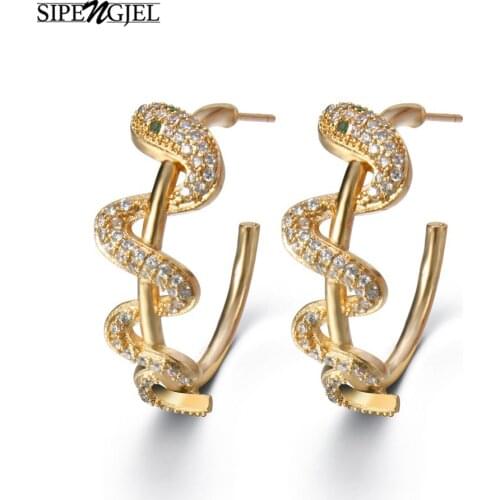 SIPENGJEL Geometric Snake-shaped Stud Earrings Punk Round Circle Animal Earrings For Women Men Jewelry 2021