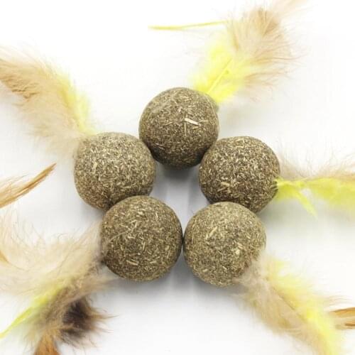 Cat Toys With Catnip Kitten Chew Toy Catnip Bite Proof Faux Feather Kitten Play Mouse Pet Teething Toy Pet Supplies Random Color