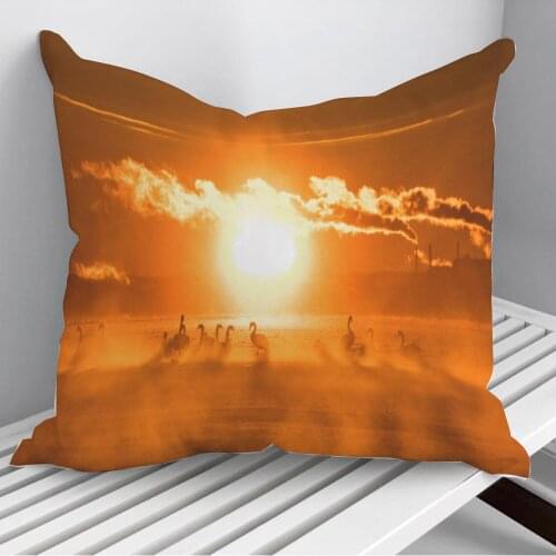 Birds Throw Pillows Cushion Cover On Sofa Home Decor 45*45cm 40*40cm Gift Pillowcase Cojines Dropshipping