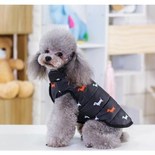 Dog Warm Clothe Coat Soft Comfortable Jacket with Fur Collar Puppy Coat Autumn Winter for Small Medium Dog Clothes
